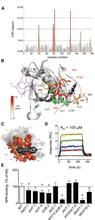 Figure 1. TWD1 Is a Low-Af ﬁ nity NPA Binding Protein.