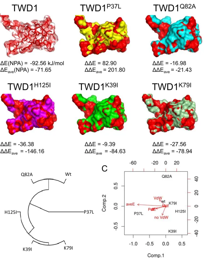 Abbildung 1: Structural analysis, using DFT methods, of different mutants and the interaction between the surface binding protein and the molecule NPA