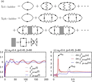 FIG. 5. (a) Diagrammatic expression for κ ph-ladder and κ ph-lowest . The data at t ∈ [0,200] are used