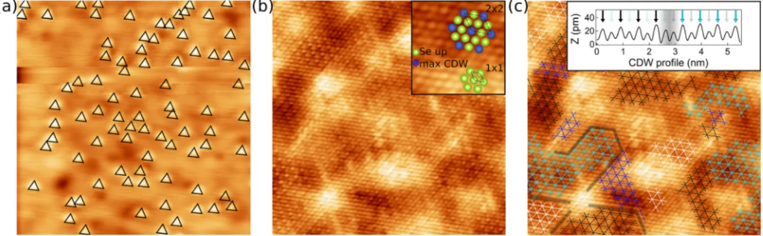 FIG. 1. (a) 17 × 17 nm 2 constant current STM images of the 900 ◦ C -grown 1T -TiSe 2 crystal showing the intercalated-Ti defects (black triangles), V bias = − 1 V, I = 0.2 nA