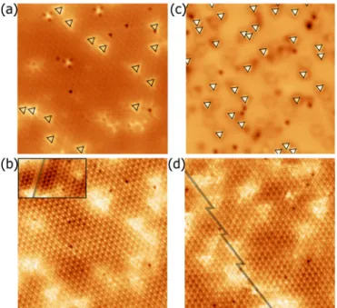 FIG. 2. (a) 17 × 17 nm 2 constant current STM image of the 770 ◦ C-grown 1T -TiSe 2 crystal showing the intercalated-Ti defects (black triangles), V bias = + 1 V, I = 0.2 nA