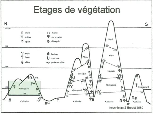 Figure 5 : Étages de végétation en Suisse (Aeschlimann, H. M. et Burdet, D., 1989) 