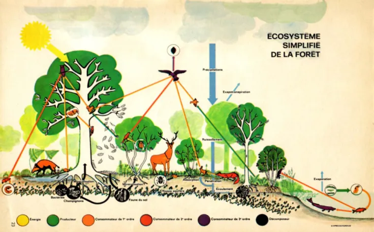 Figure 1 : Exemple  d'un écosystème 7