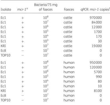 Table 3. Detection of the mcr-1 gene in spiked human and cattle stools