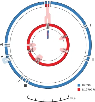 FIG 4 Schematic representation of transposon Tn125 harboring the bla NDM-1 gene. The A
