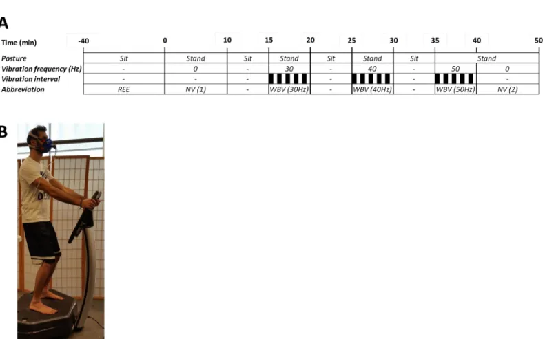 Fig 1. Panel A: Schema showing experimental protocol for intermittent side-alternating whole body vibration (WBV) across varying frequencies