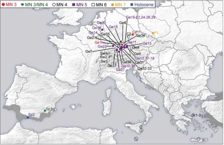 Fig. 2 Fossil chamaeleonids from Europe. See Online Resource for a list of localities and taxa identified