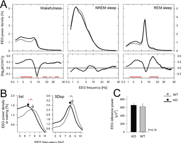 Figure S2: Spectral composition of EEG activity during wakefulness, NREM sleep, and REM  sleep in baseline