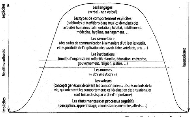 Figure 3 : iceberg culturel 