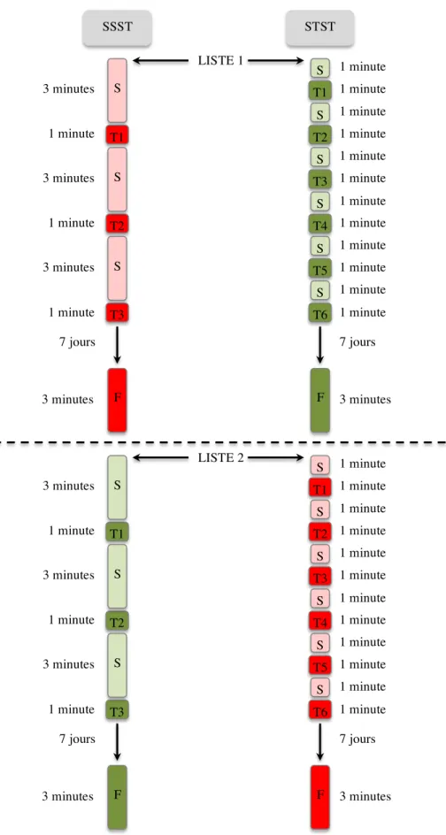 Figure 3 :   Articulation  des  deux  conditions  expérimentales  SSST  et  STST  pour  les  deux  premières listes de paires de mots montrant l’alternance des sites 1 (en vert) et 2  (en rouge)
