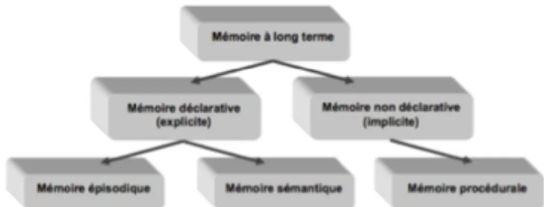 Figure 4: Conceptualisation générale de la mémoire à long terme (Gazzaniga, Ivy, &amp; 