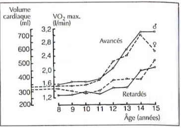 Figure  2 :  Volumes  cardiaques  et  capacité  maximale d’absorption d’oxygène (critère brut de  la  capacité  d’endurance)  chez  des  garçons  de  développement avancé ou retardé entre 8 et 15ans  (d’après  Hollmann  et  al