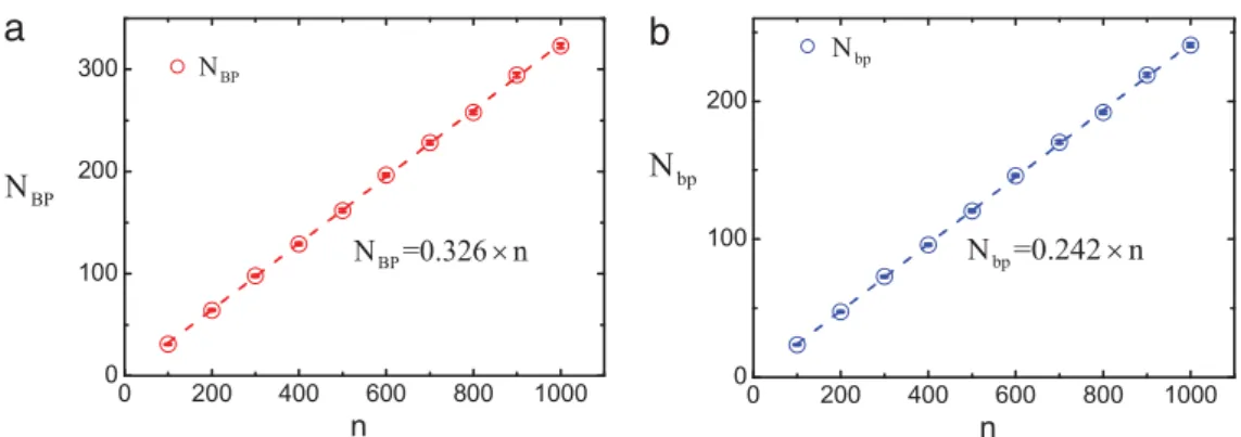 Fig. 3. The result ofBPs in the numerical simulation. (a) The number ofBPs N BP (red circles) and (b) the number of men who form BPs N bp (blue circles) versus the model size n