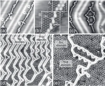 FIG. 2. (a) STM image (230 × 230 ˚ A 2 , U s = − 1 V, I t = 0.5 nA, 5 K) of linear chlorine chains growing in fcc domains