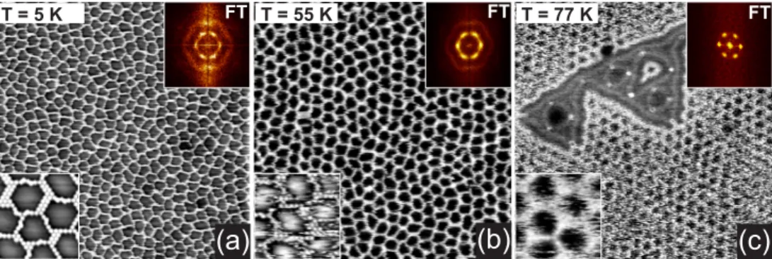 FIG. 4. Large-scale STM images (800 × 800 ˚ A 2 , U s = 2.0 V, I t = 0.5 nA) of the nanoporous structure (θ = 0.11 ML) on the Au(111) surface at 5 K (a), 55 K (b), and 77 K (c)