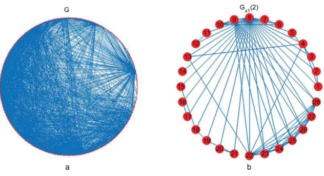 Fig. 2. USAir network and sub-graph G x1 (2).
