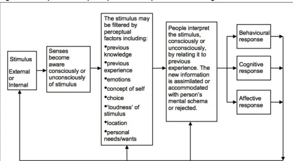 Figure 3: The process of perception and experiential learning