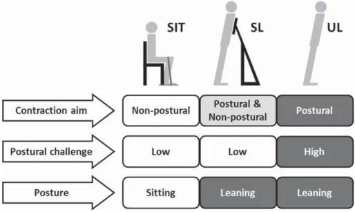 Fig. 1. A summary of experimental conditions and conceptual interactions between three different conditions (sitting— SIT, supported leaning — SL, unsupported leaning —UL) that could inﬂuence intracortical inhibition (contraction aim, postural challenge, p