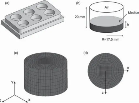 Figure 1. (a) Schematic representation of a six-well culture plate used in the modeling and in the experiments