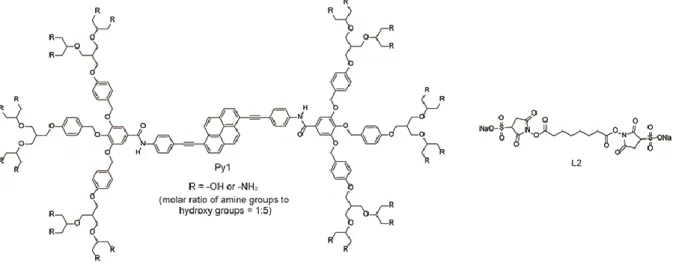 Figure 12. Molecular structure of pyrene-based amphiphile Py1 and water-soluble cross-linker L2