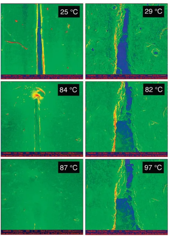 Figure 13:  Environmental scanning electron micrographs showing the (in)homogeneous nature  and healing properties of the systems in the presence (left) and absence (right) of supramolecular 