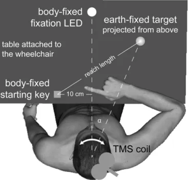 Fig. 1.Schematic experimental setup. The black table was attached to the rotating wheel- wheel-chair above participant's laps