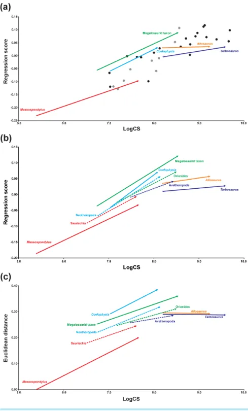 Figure 4 Centroid size regression analyses for the main sample. (A) Regression analysis of all terminal taxa including ontogenetic trajectories against log-transformed skull centroid size (LogCS) (p &lt; 0.0001).
