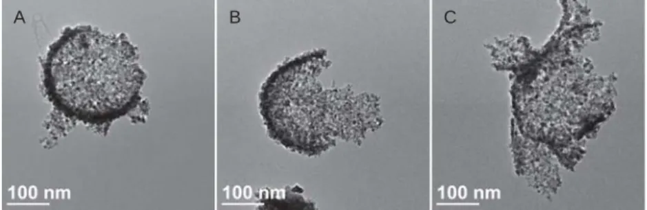 Figure S1: TEM images of CeO 2  nanocontainers after being sonicated for one hour in  ethanol in the absence of any surfactant (A), in the presence of non-ionic surfactant (B) and 