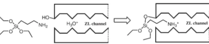 Figure 4. Top: Results from leaking tests. UV/Vis absorption spectra of the fil- fil-tered washing solution of open and stopcock-plugged HR–ZL samples tested after one month of storage: HR–ZL TS .20(0.75 IMZ + ) (black), HR–