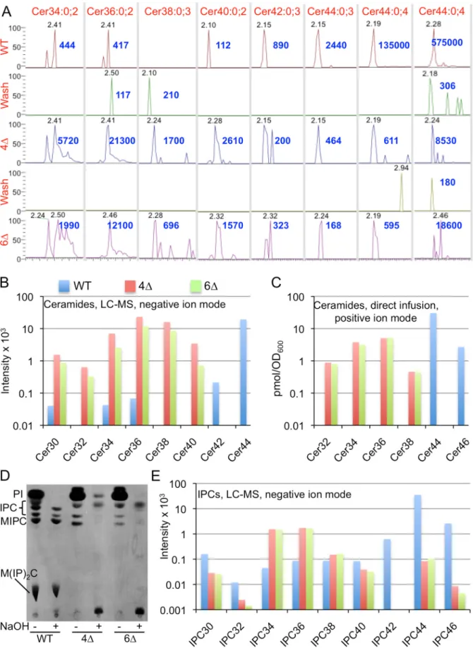 Fig 2. Analysis of ceramides and IPCs in WT, 4 Δ and 6 Δ by LC-MS(A, B and E) or by direct infusion MS (C)