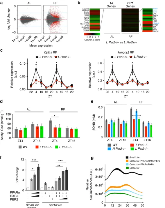 Figure 3 | RNA-sequencing analysis of L Per2  / and control livers. (a) Comparison of L Per2  / (red) and control L Per2 þ /þ (grey) mRNA under ad libitum (AL) and restricted feeding (RF) conditions