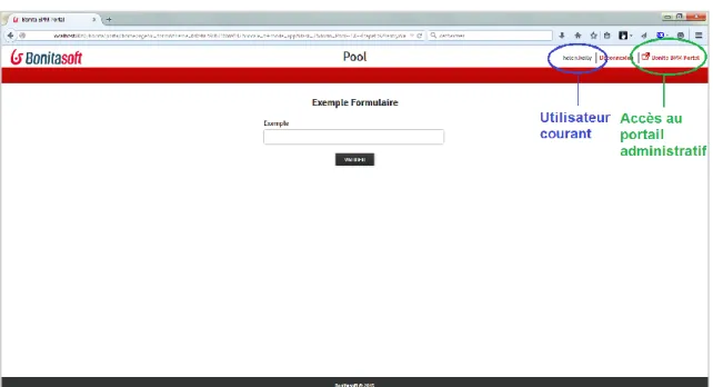 Figure 10 : Portail web – formulaire de test du processus 