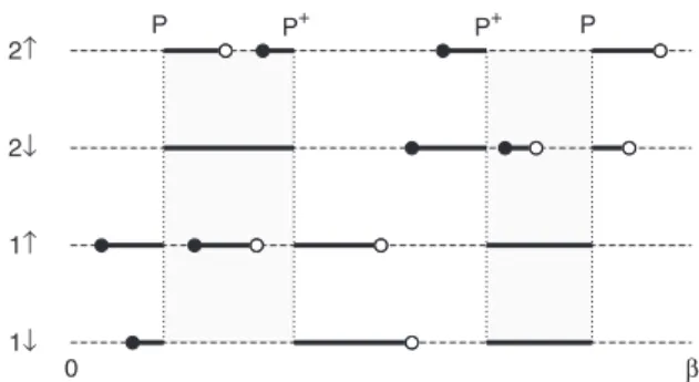 FIG. 1. Illustration of an order n h = 12, n sf = 2 configuration for the two-orbital model
