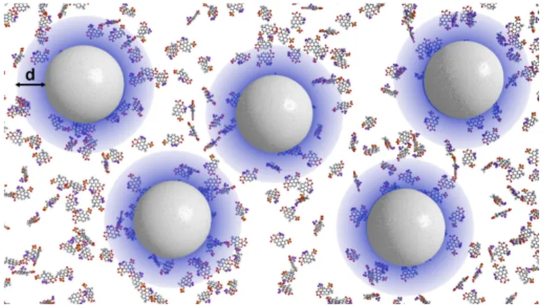 Fig. 4. The fluorescent properties of dye molecules located in the vicinity of hydrophobic polystyrene particles are modified leading to an increased quantum efficiency η