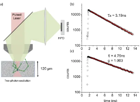 Fig. 1. (a) Sketch of the experimental setup. The lifetime of the dye molecules in a concen- concen-trated suspensions of dielectric particles is determined using a custom made two-photon microscope setup combined with a time correlated single photon count