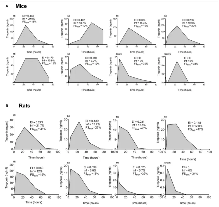 FIGURE 3 | Representative individual kinetics of plasma cTnI for mice (A) and rats (B): cTnI levels were measured at 2, 5, 24, 48, and 72 h post LAD ligation (MI) or in sham-operated animals (sham)