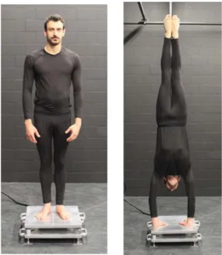 Fig. 1 shows a participant performing the task (i.e., maintaining a handstand) with one of the experimental suits.