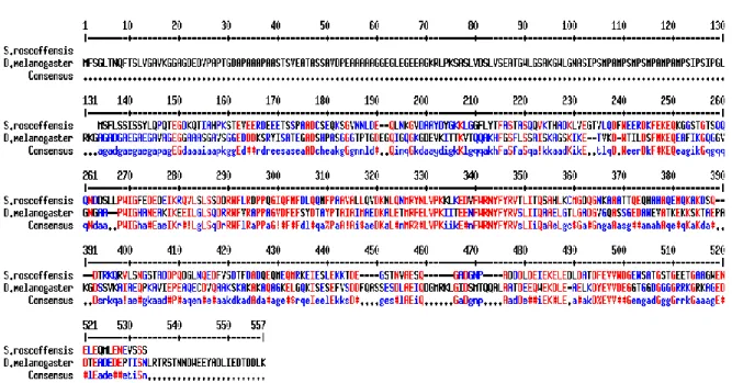 Fig. S2. Amino acid alignment of D. melanogaster Sap47 to S. roscoffensis best BLAST hit