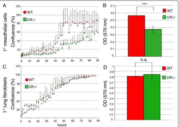 Fig. 2 a Cell growth analyses (average of five wells, four independent experiments showing similar growth curves) were performed