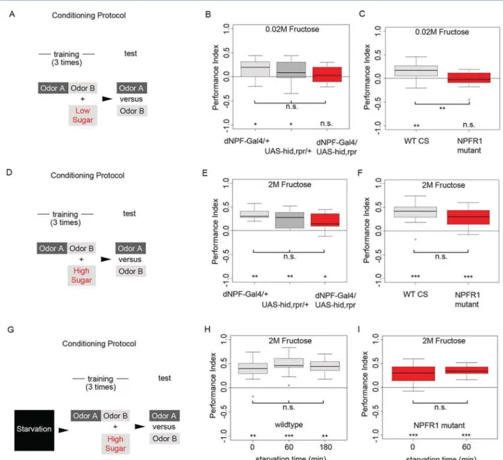 Figure 5. dNPF neuronal output is necessary for appetitive olfactory learning at low sugar concentrations