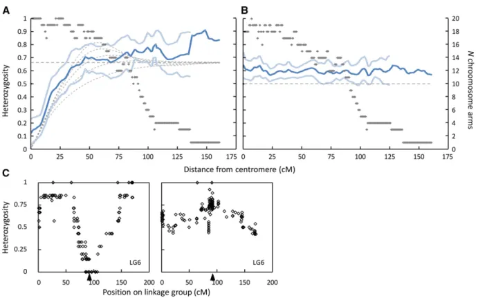 Figure 3 Heterozygosity as a function of the distance from the centromere under (A) automixis (terminal fusion only, N = 7 offspring) and (B) self- self-fertilization (N = 27 offspring)