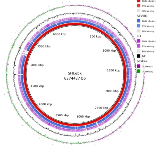 Fig. S6 Genome of strain 3 and strain 1   