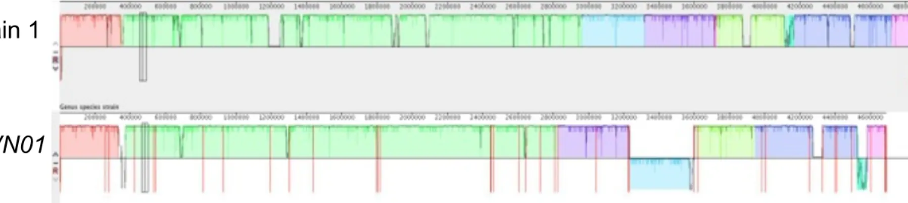 Fig. S6 Genome of strain 3 and strain 1   