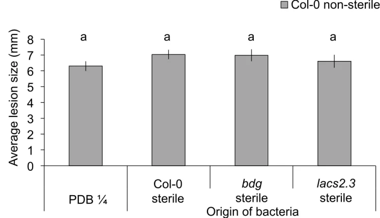 Fig. S4 Effect of surface washes of leaves from sterile A. thaliana Col-0 plants and cuticle  mutants on the resistance of non-sterile Col-0 plants to B