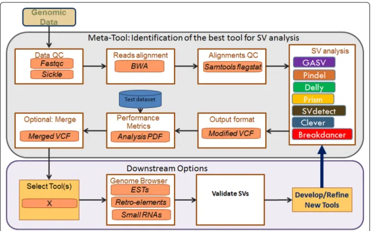 Figure 1 SV-AUTOPILOT pipeline. Illumina pair-end NGS data in the form of a fastq file is submitted to the pipeline for SV analysis along with a genomic reference sequence