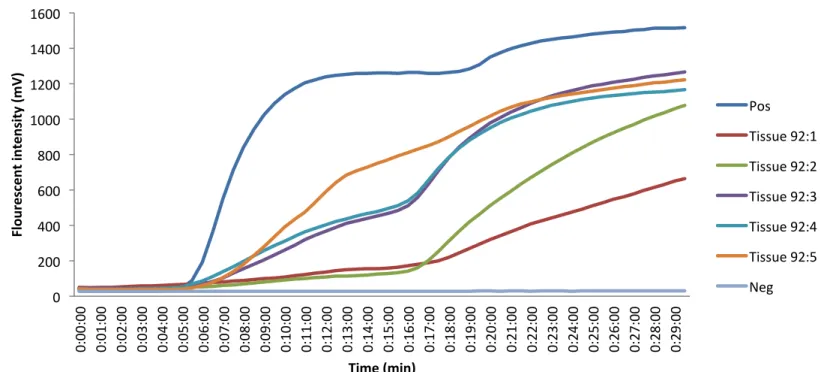 FIGURE  S1:  Graph  depicting  the  amplification  from  a  tissue  sample  (Goat  92)