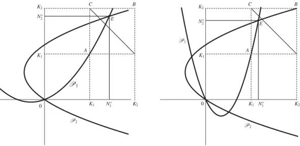 Fig. A.7. Phase-plane diagram for equation system (2). E = ( N ∗ 1 , N 2 ∗ ) , the positive intersection of the nullclines P 1 and P 2 , is a stable equilibrium and 0 is an unstable one.
