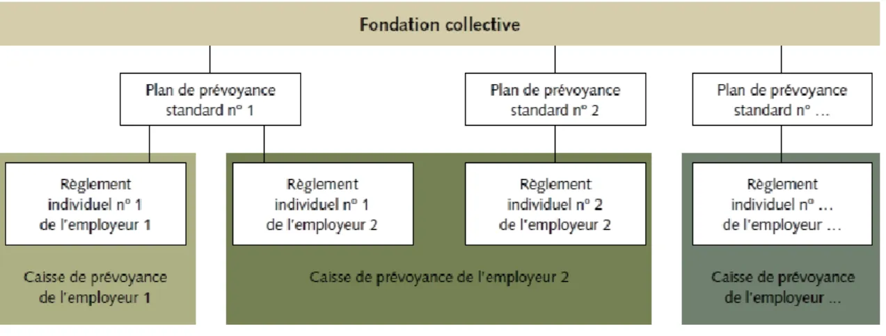 Figure 6 : Schéma d’une fondation collective 