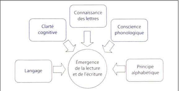 Figure   1:   Les   composantes   de   l’émergence   de   la   lecture   et   de   l’écriture   (Giasson   &amp;   Vandecasteele   2012,   p.45)
