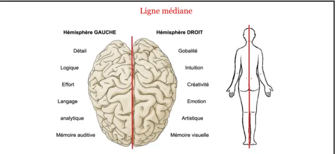 Figure 2: Ligne médiane 